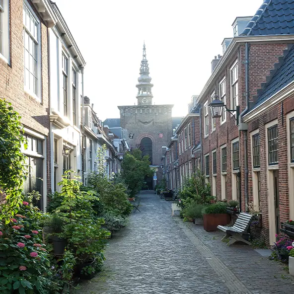 Geveltuin Aanleggen Inspiratie Ideeen