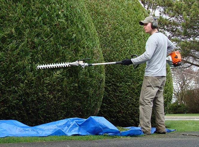 Hovenier Werkzaamheden
