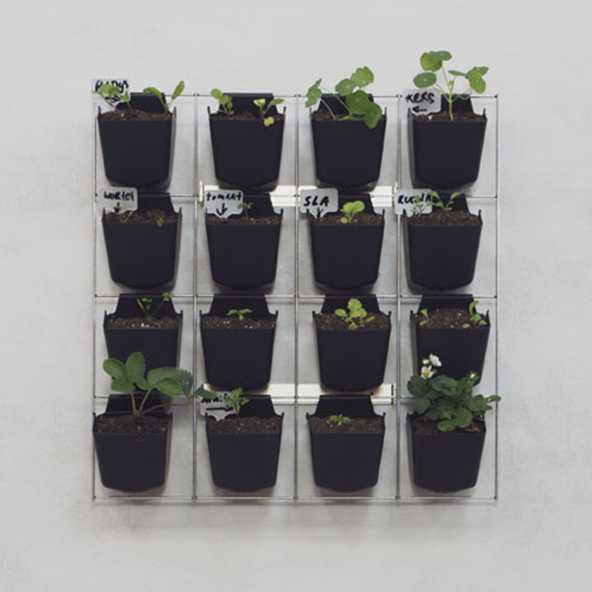 Kleine Moestuin Stadstuin