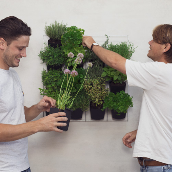Kleine Stadstuin Kruiden