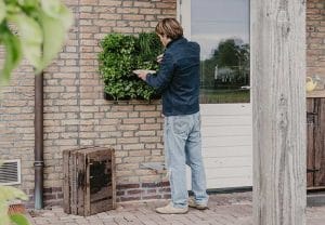 Kruidenrek Buiten Tuin Hangend