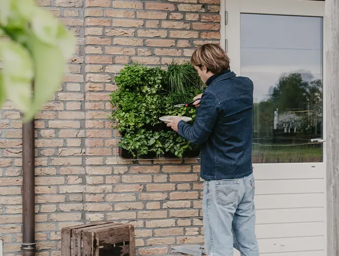 Kruidenrek Buiten Tuin