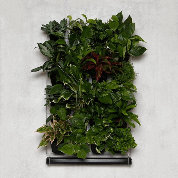 Voor Binnen - Compleet Startpakket (Large) 90cm x 60cm – 24 Bakjes