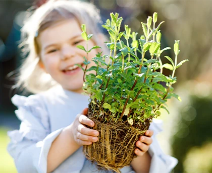 Moederdag Kruidenplantjes Cadeau
