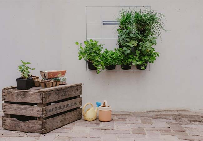 Moestuinbakjes Verticaal