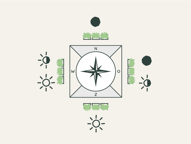 Planten Verticale Tuin Schaduw of Zon