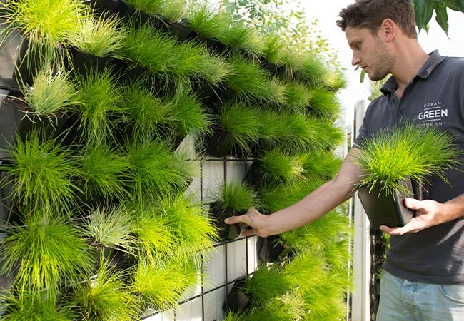 Plantenbakken Verticaal Muur