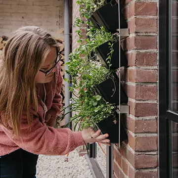 Verticaal Muur Tuintje