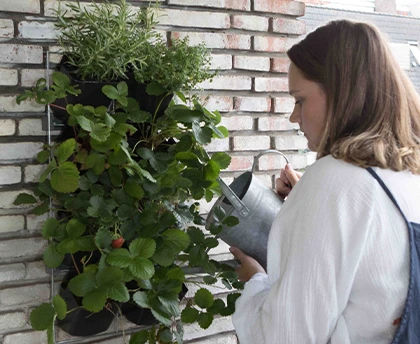 Moederdag Tuintje Aardbeien