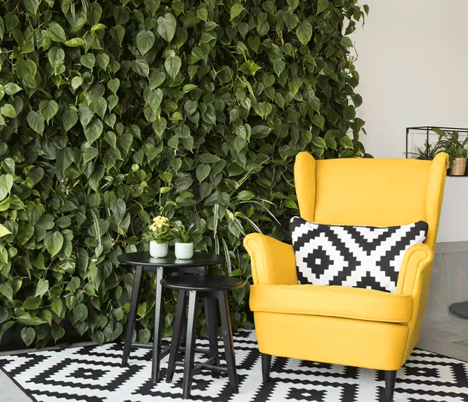 Verticale Groene Plantenmuur