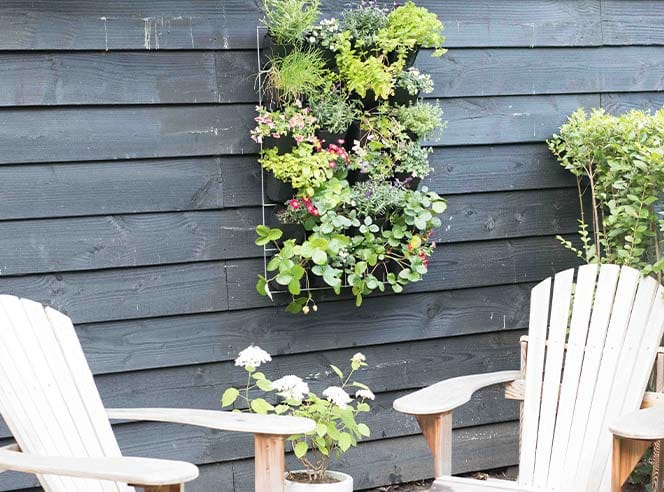 Verticale Moestuin Schutting