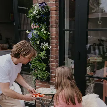 Verticale Tuin Buiten Sfeer