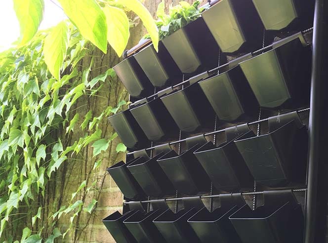 Verticale Tuin Kant en Klaar