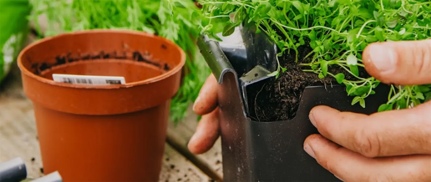 Verticale Tuin Maken