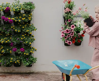 Verticale Tuin Systeem Muur