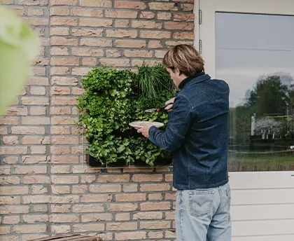 Verticale Tuin aan de Muur