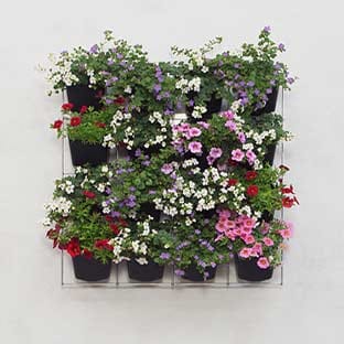 Wat is een verticale tuin