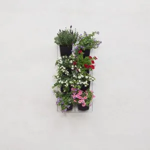 mijn-verticale-tuin-30-60-vk