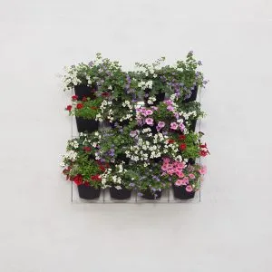 mijn-verticale-tuin-60-60-vk