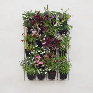 mijn-verticale-tuin-60-90-vk