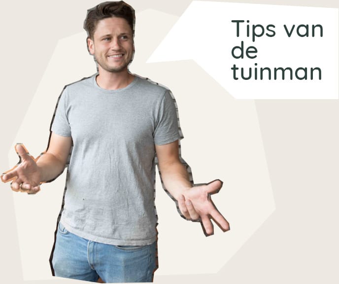 tuinman