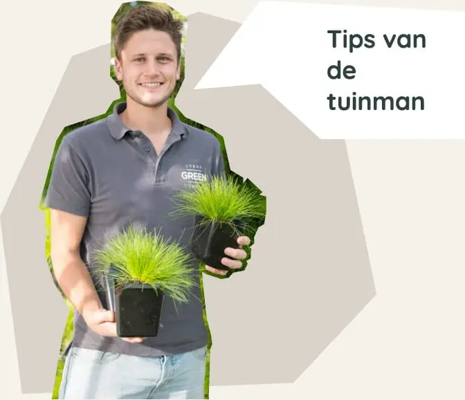 verticale tuin tips